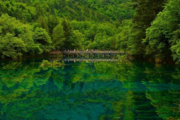 A beautiful lake with a momt in the center of the forest