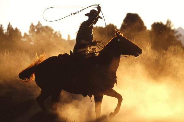 Cowboy auf einem Pferd im Feld