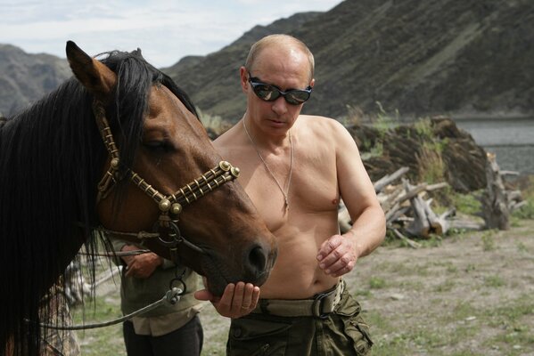 Man in black glasses harness bridle horse