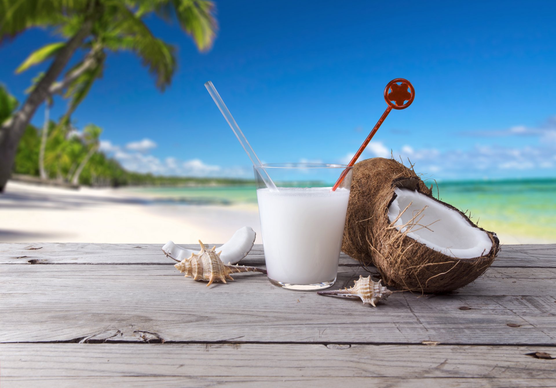 plage mer palmiers coquillages noix de coco cocktail