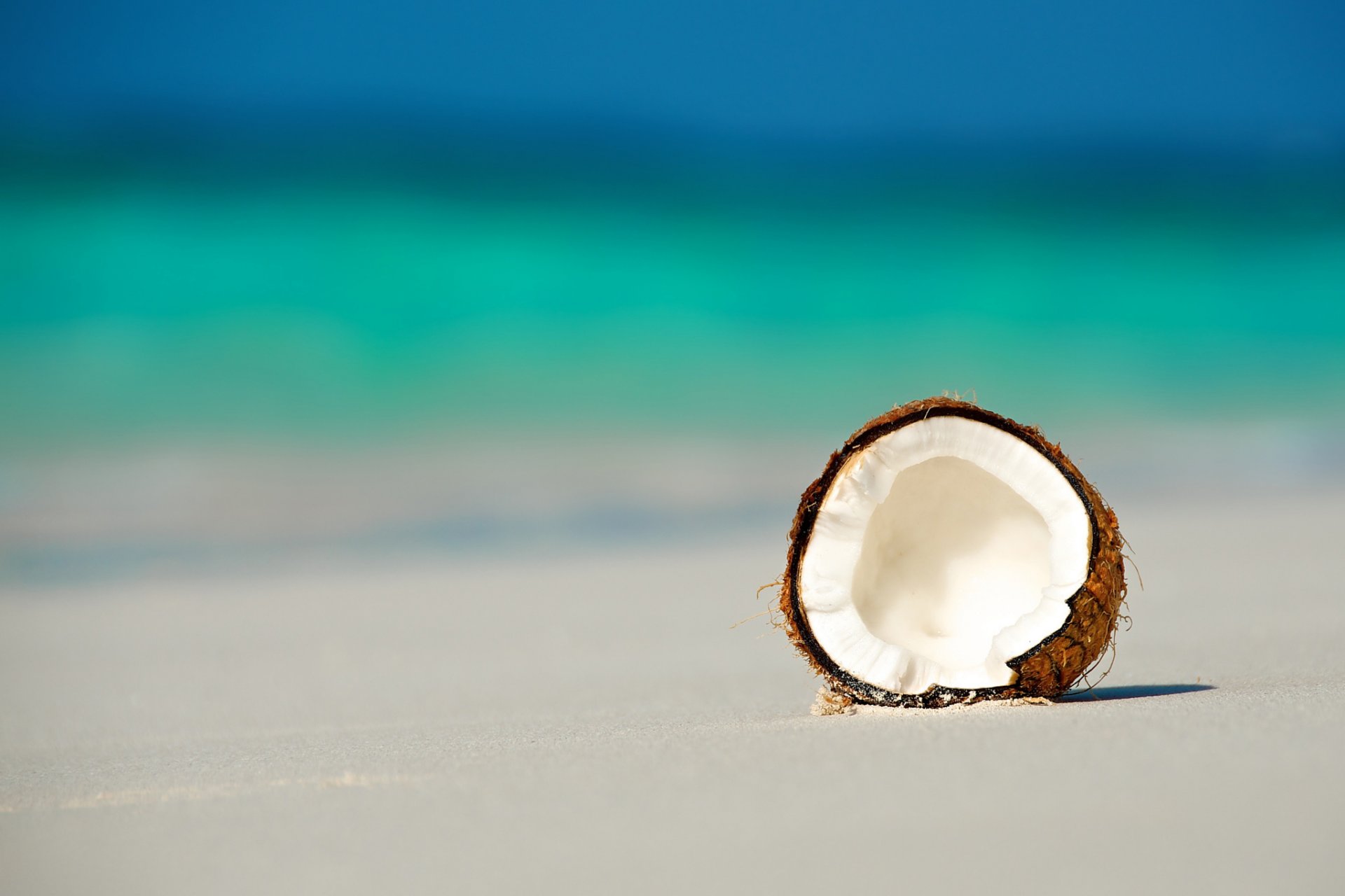 maldive oceano spiaggia cocco noce