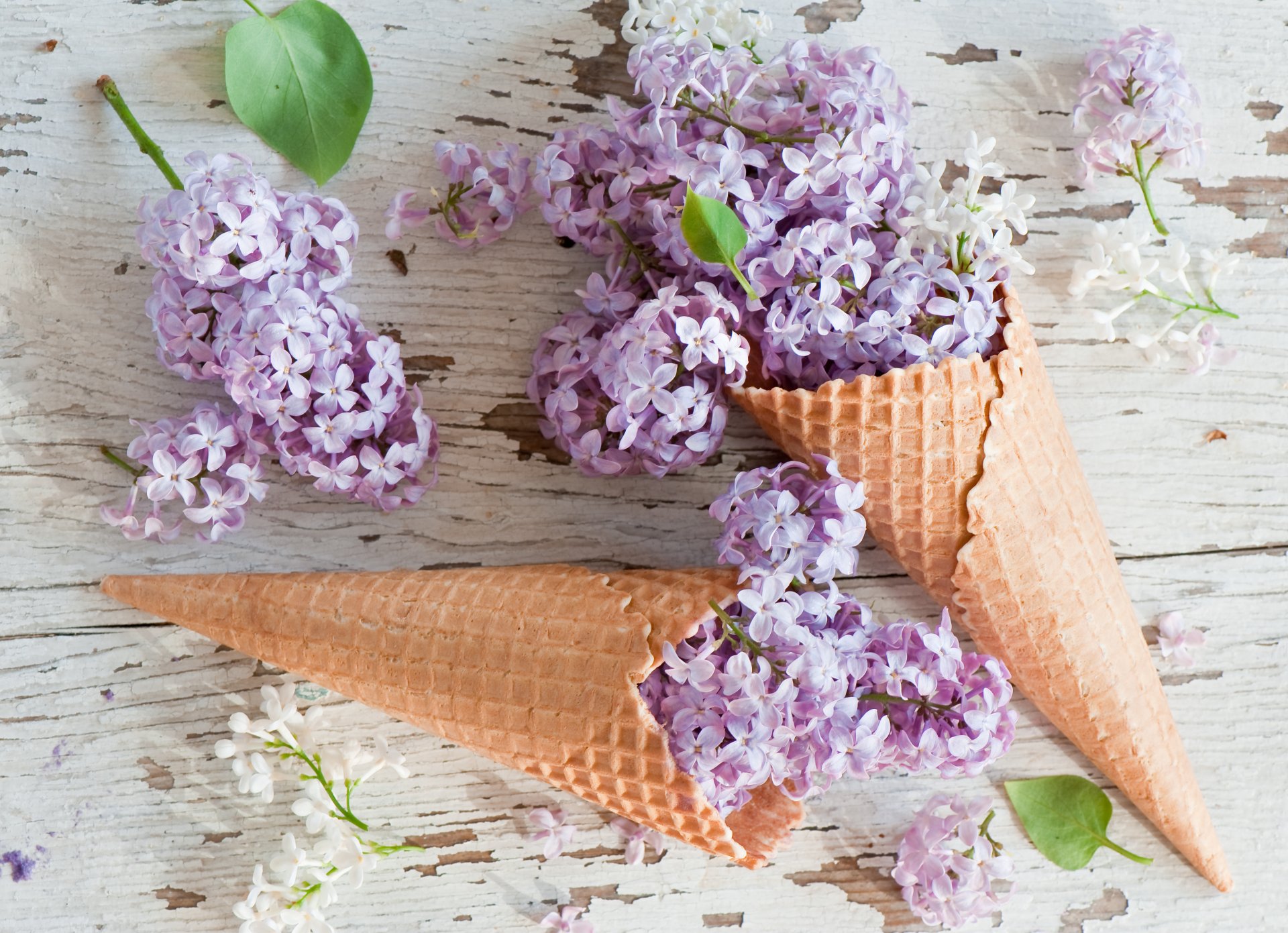 corne de gaufre fleurs lilas cônes de gaufre lilas