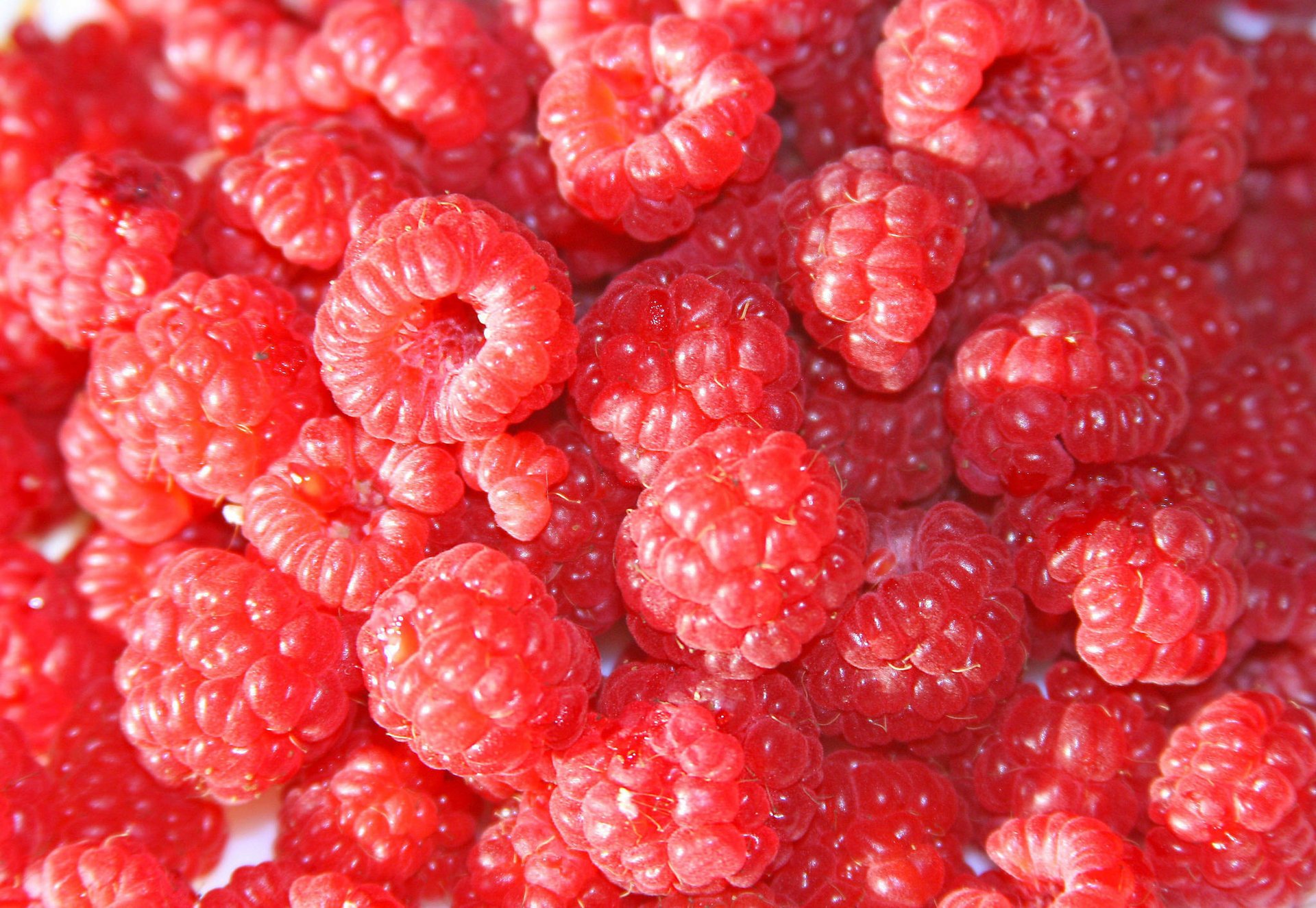 baies framboises