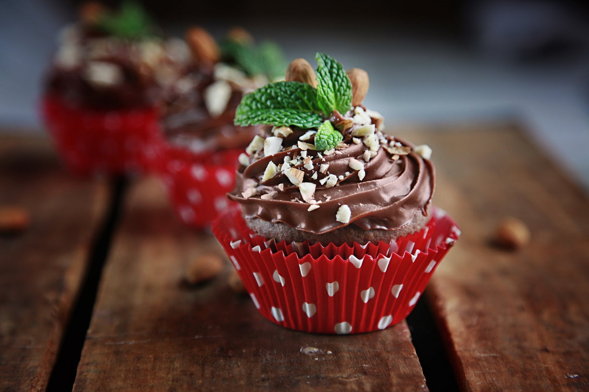 pâtisserie cupcake crème au chocolat noix menthe