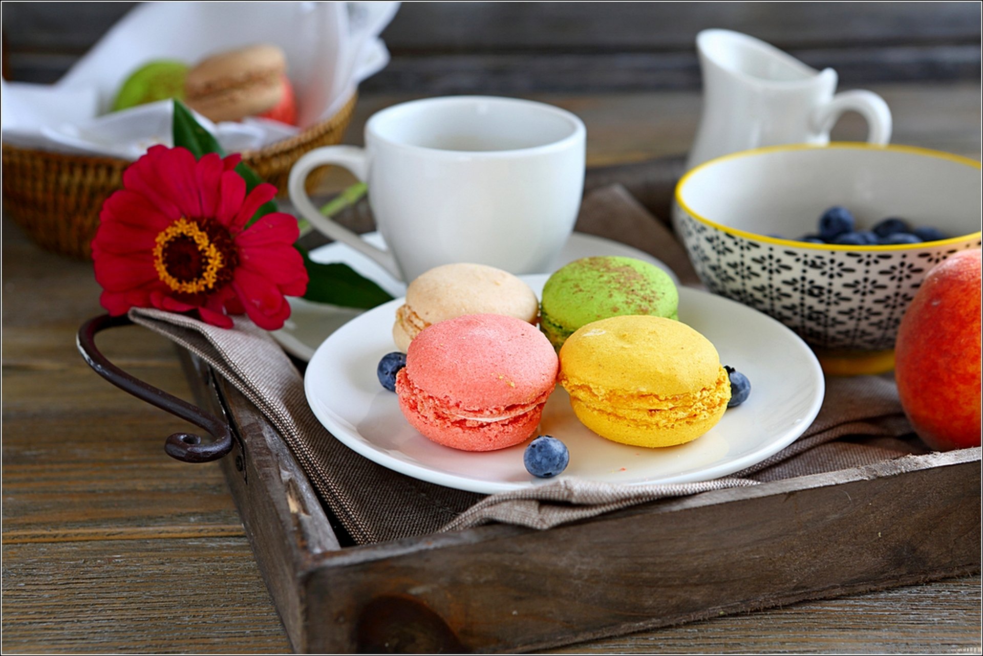 macaroon cup sweets food flower flower