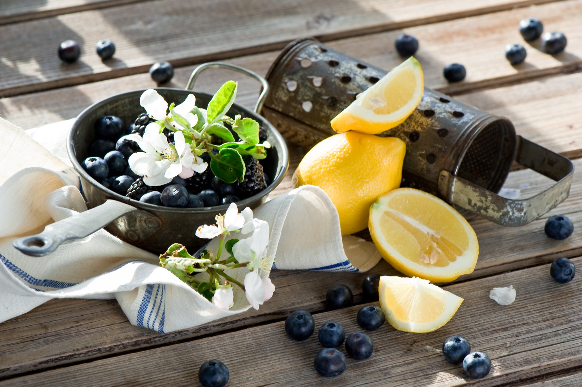 limones cítricos arándanos moras bayas frutas floración flores anna verdina