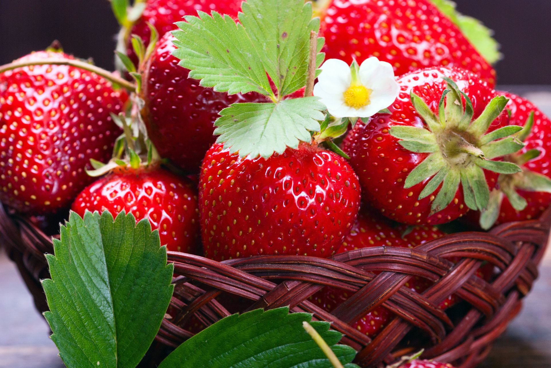 fragola fresco bacche cestino