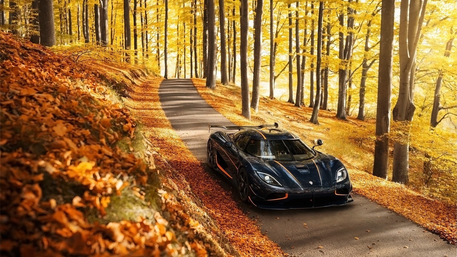 koenigsegg supercar autunno natura