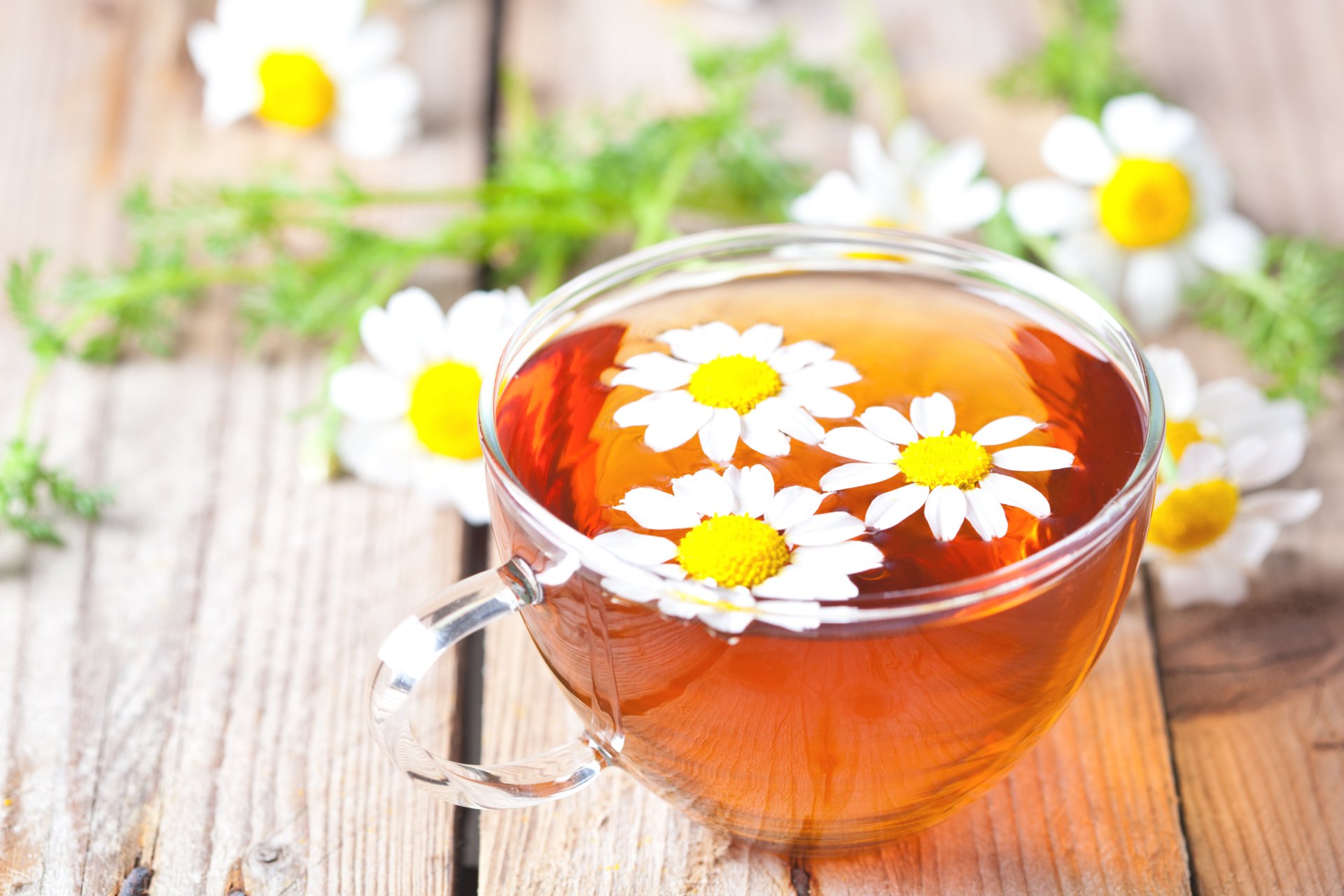 tea daisy cup glass table