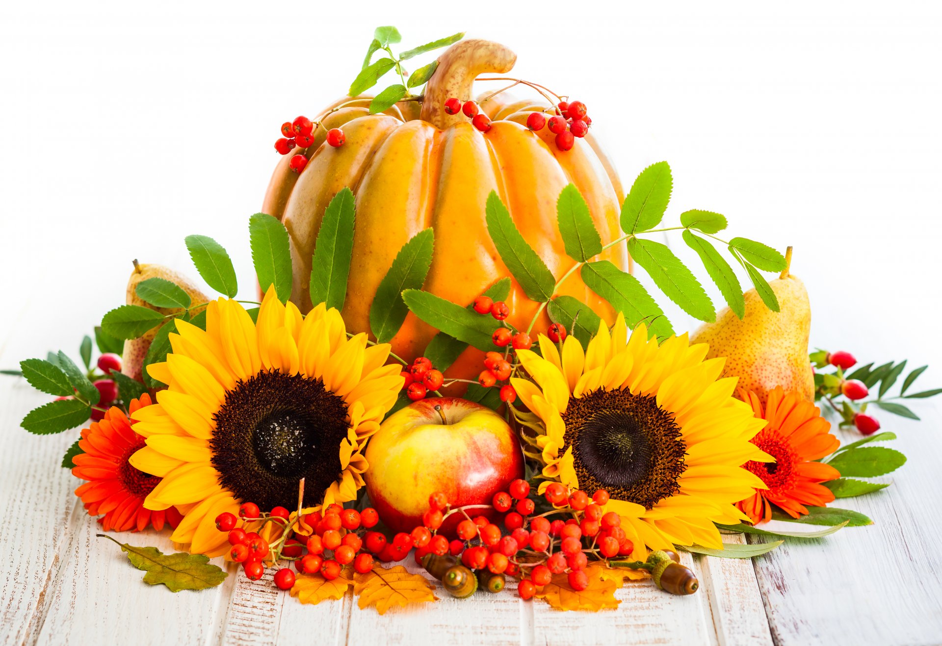 otoño cosecha calabaza girasol fruta manzanas peras girasoles bayas hojas cosecha