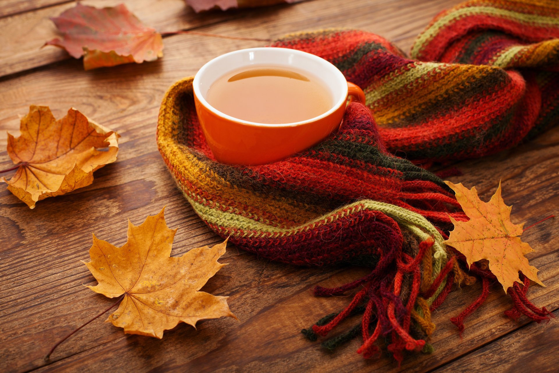 otoño caída hojas arce taza té bufanda hojas de otoño