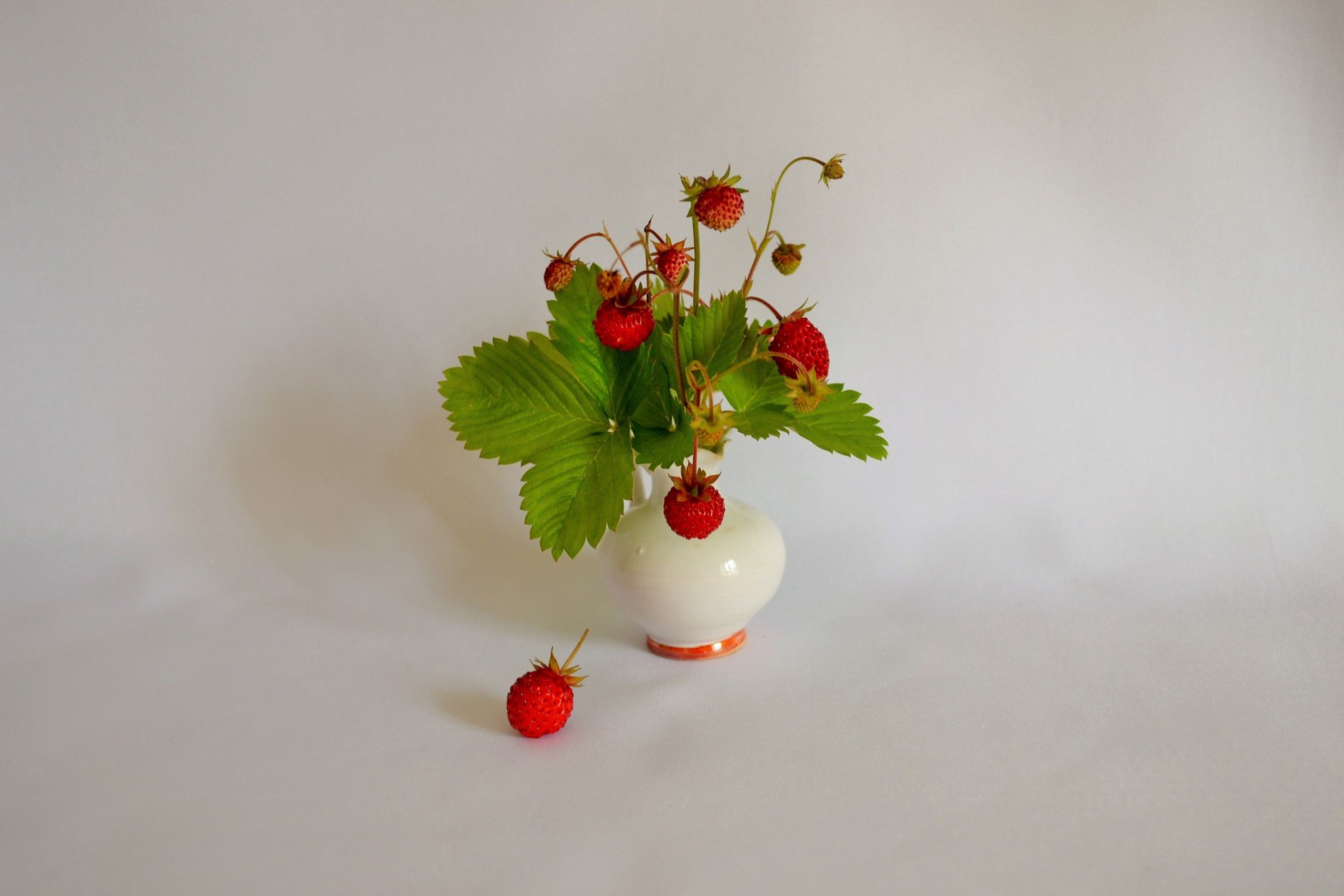 nature morte vase baies feuilles fraises