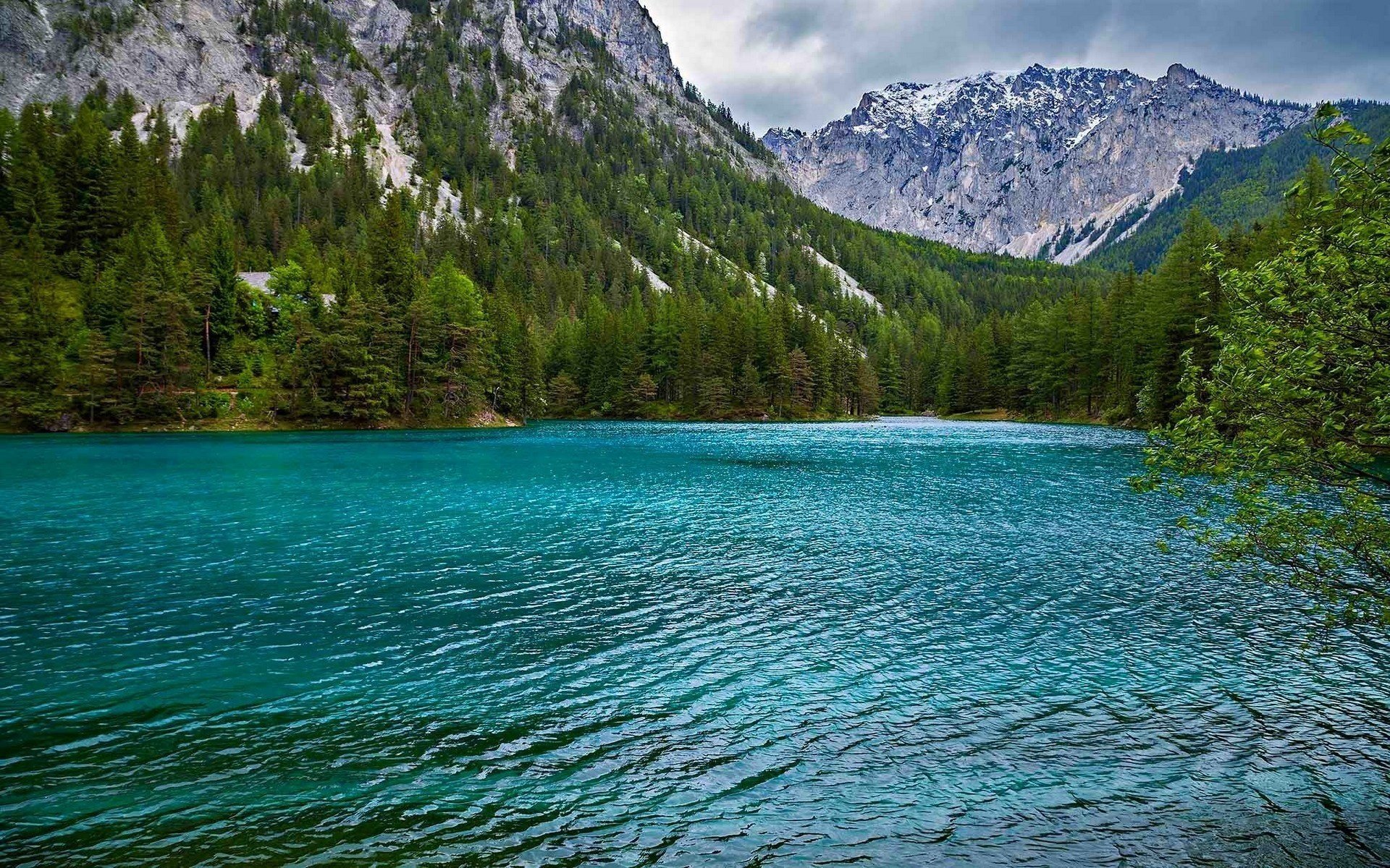 montañas bosques lago hermoso alpes