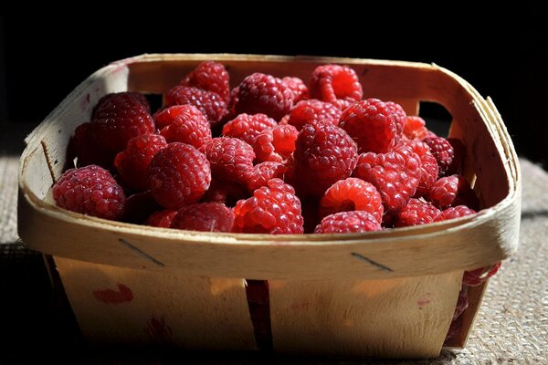 A basket with sweet raspberries. Wild berry