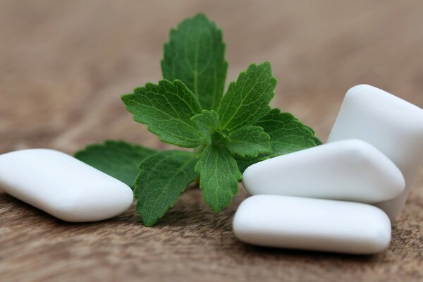 Gomma da masticare accanto ai rametti di menta