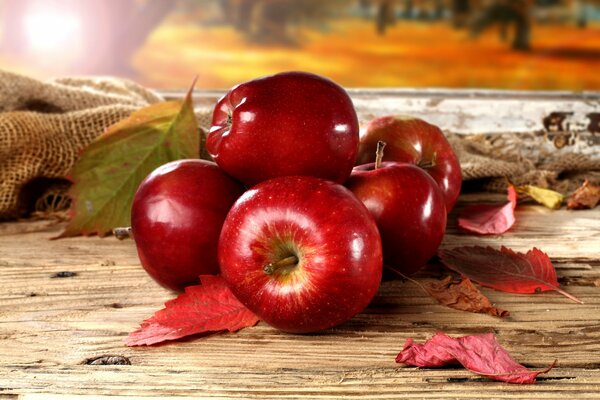 Herbstfoto - rote Äpfel mit Blättern auf Holzhintergrund