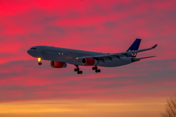 Flugzeug startet in den purpurroten Himmel