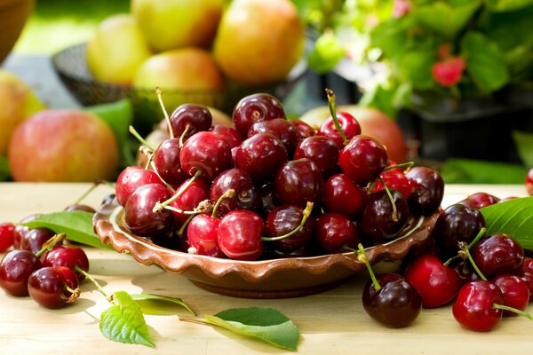 Baies fraîches dans un bol - cerises