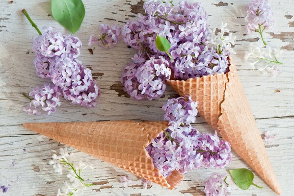 Waffle cone with lilac flowers