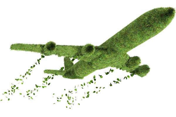 Avion créatif fait d herbe