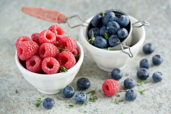 Framboises et myrtilles