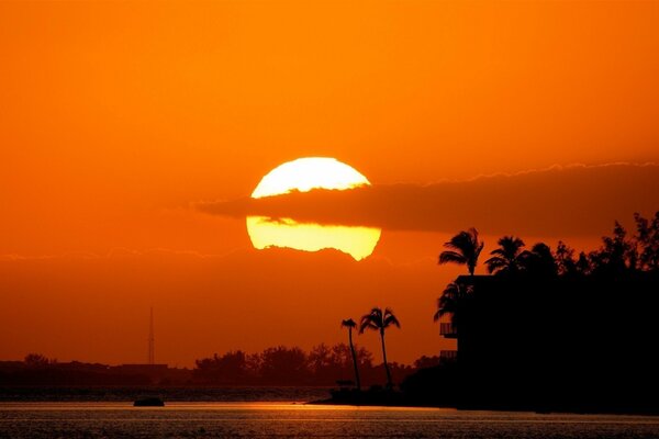 Sunset in the tropics with clouds and palm trees