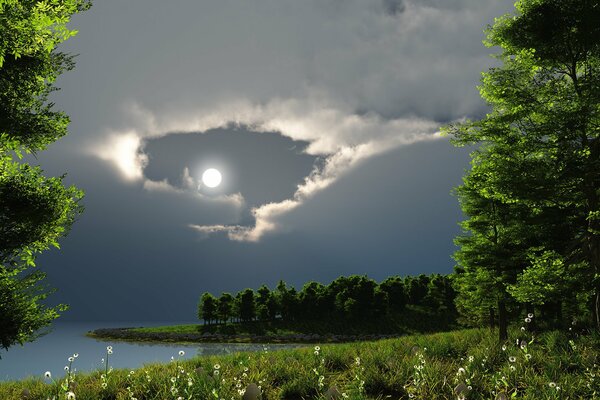 Pełnia księżyca nad jeziorem w pięknym lesie