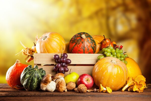 Naturaleza muerta de otoño con una cosecha de verduras y frutas