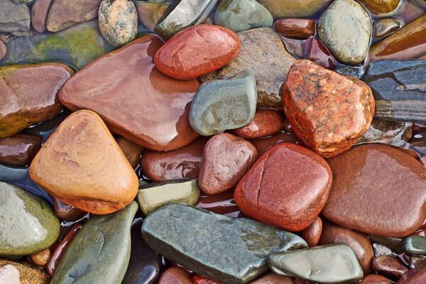 Piedras mojadas de diferentes colores