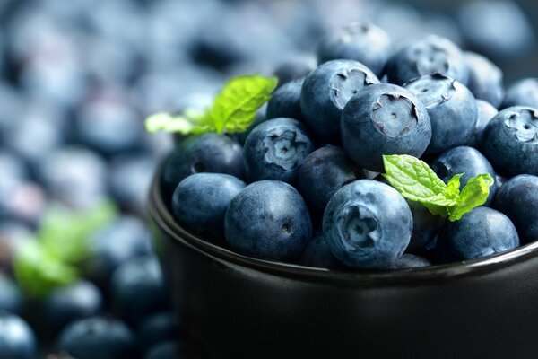 Fresh, ripe blueberries in a black cup