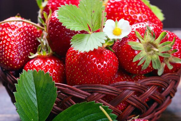 Plato con fresas, recién salido de la cama