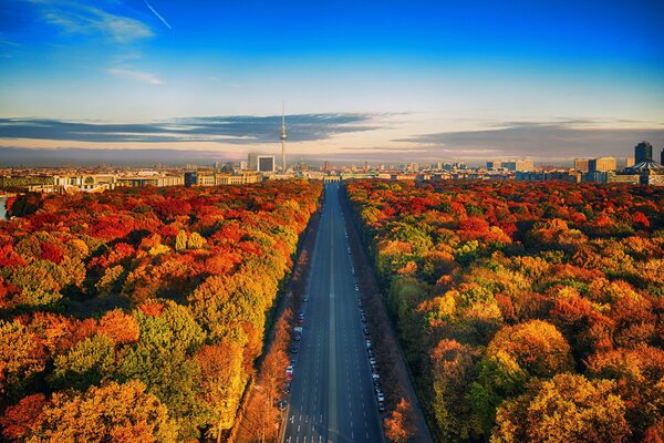 Deutschland. Herbstliche Straße in die Stadt