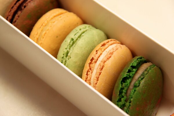 Gros plan de macarons aux biscuits multicolores