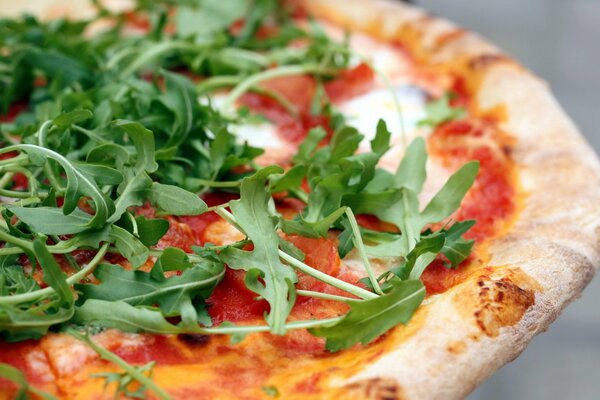 Pizza with arugula close-up