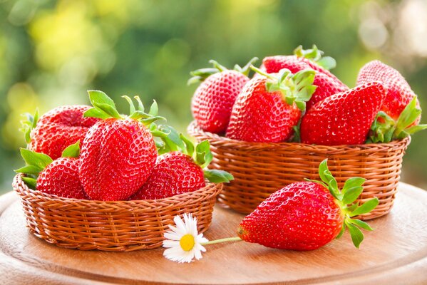 Baskets of fresh summer strawberries