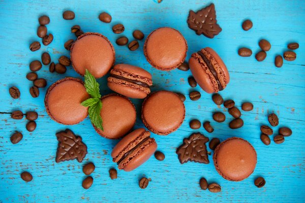 Chocolate macaroons, chocolate biscuits, coffee beans and mint sprigs on a turquoise background
