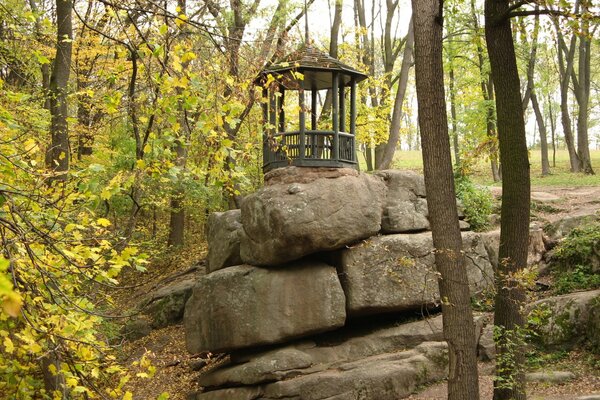 Laube auf Steinen im Sophienpark in der Ukraine