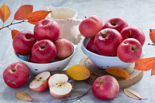 Still life autumn apples in a dish