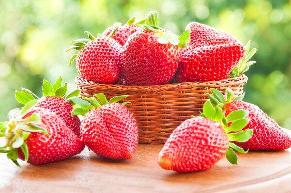 Cesta de fresas jugosas maduras