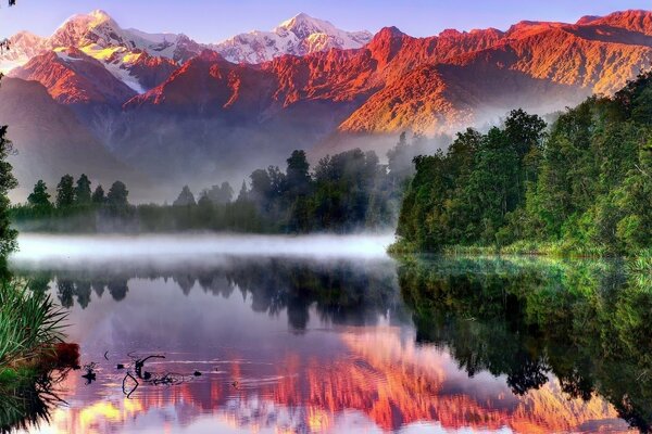 Nebbia di prati alpini sul lago