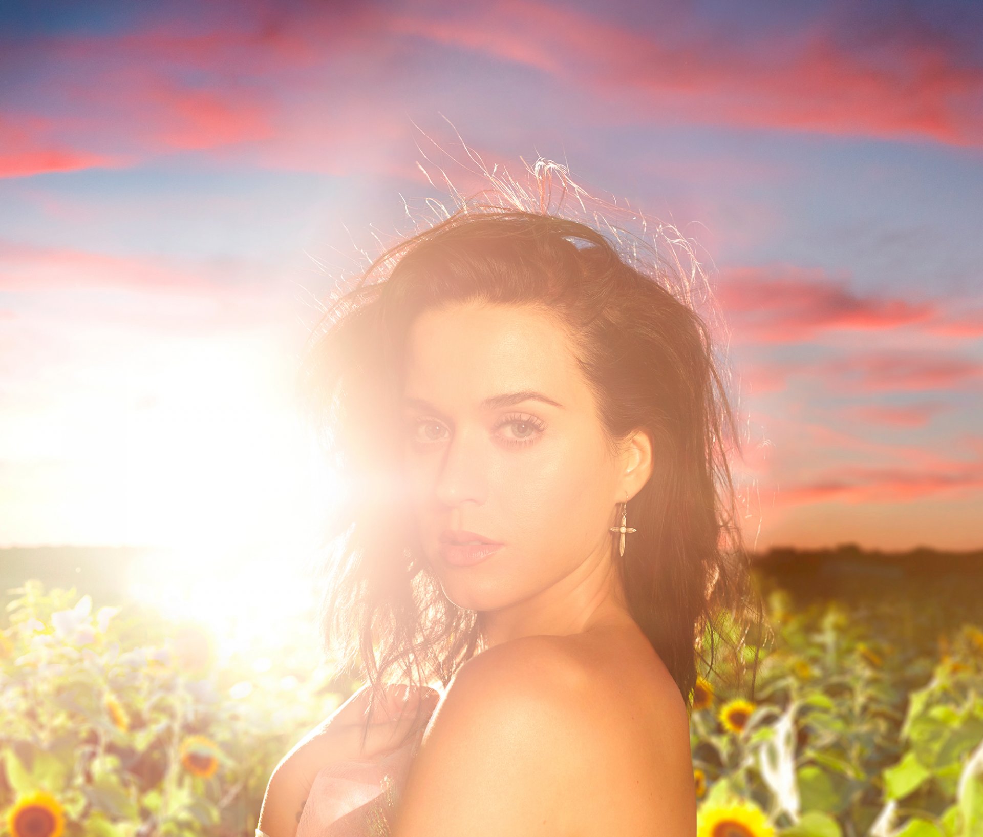 katy perry champ tournesols soleil