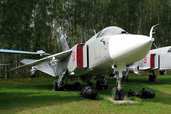 Sowjetischrussisches Flugzeug vor Birken Hintergrund
