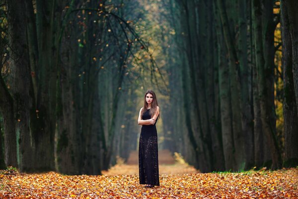 Fille dans l allée à l automne