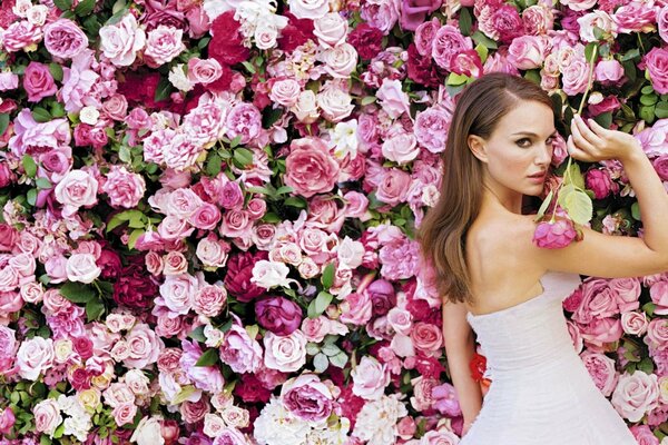 Blondes Mädchen Schauspielerin natalie portman auf dem Hintergrund von rosen in einem weißen kleid