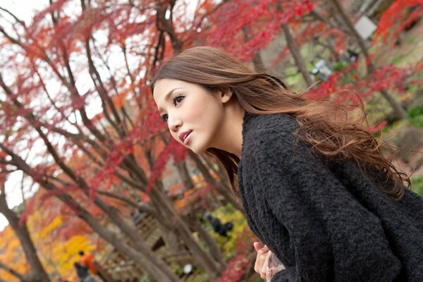 Langhaarige asiatische Frau im Herbstpark