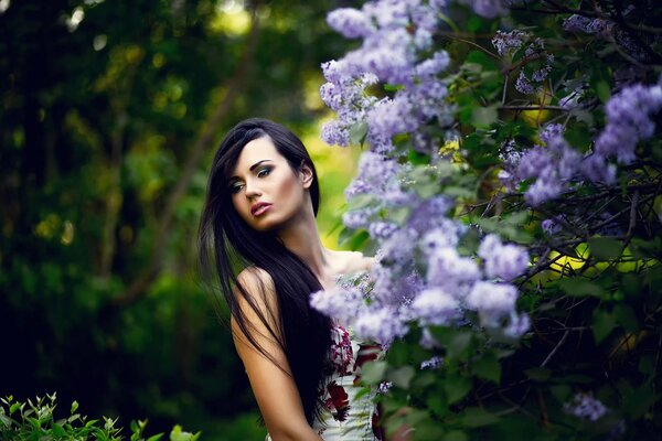 Fille aux cheveux noirs sur fond de lilas