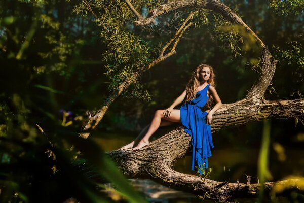 Chica en vestido en el bosque en un árbol