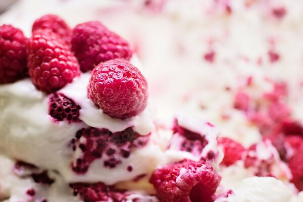 Berry cake and raspberry ice cream