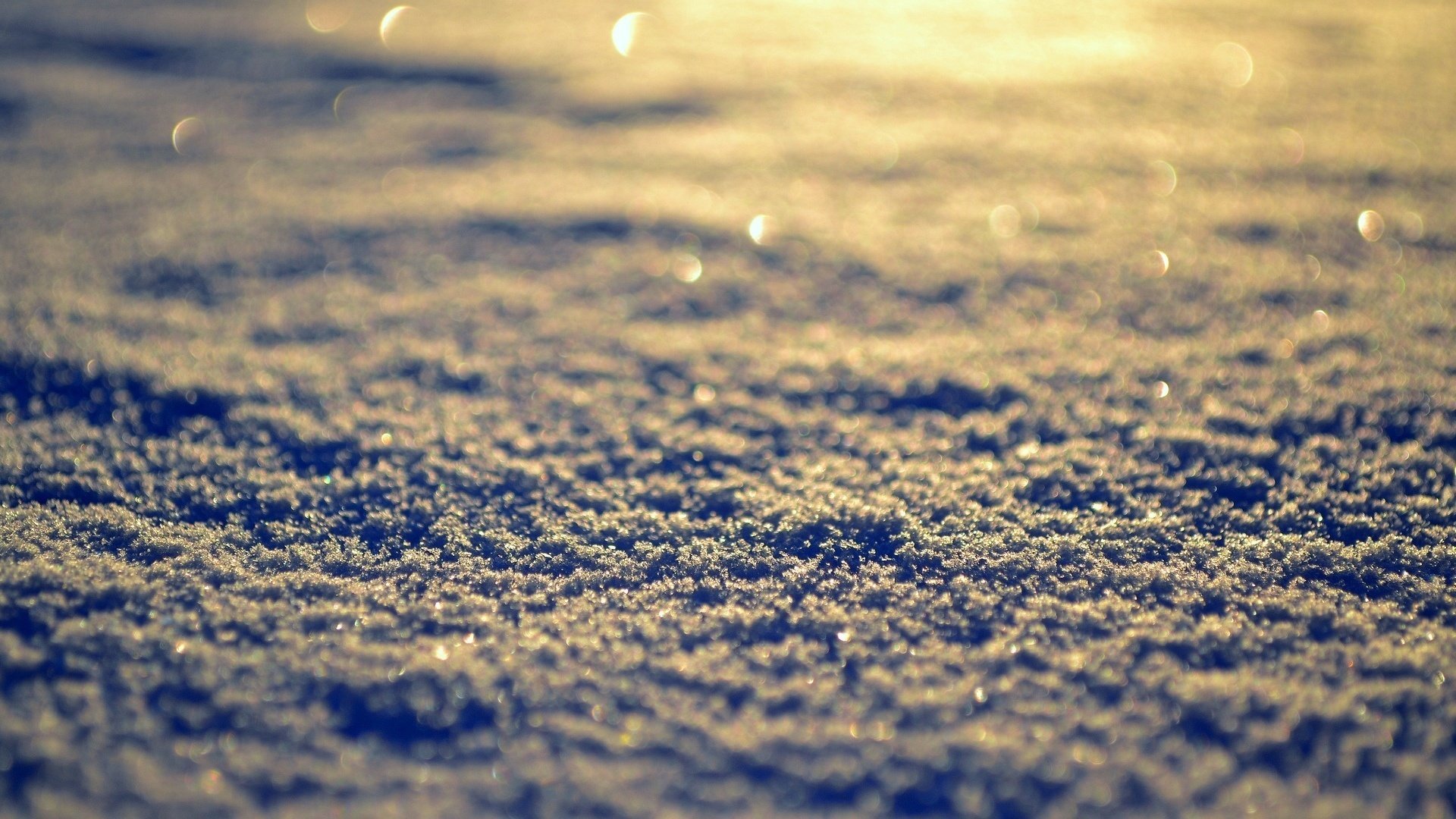 macro background snow winter snow day sun wallpaper winter