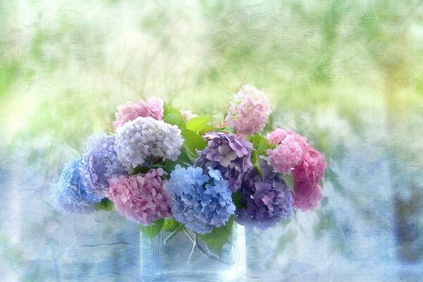 Hydrangea on the window. Still life with flowers